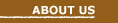 About SGSI